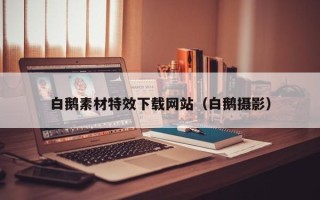 象山白鹅素材特效下载网站（白鹅摄影）